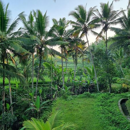 ปูรี ซบาหลี รีสอร์ต อูบุด Hotel ภายนอก รูปภาพ