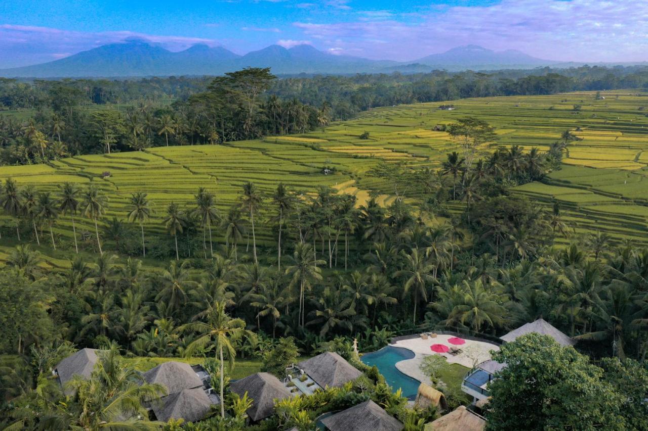 ปูรี ซบาหลี รีสอร์ต อูบุด Hotel ภายนอก รูปภาพ