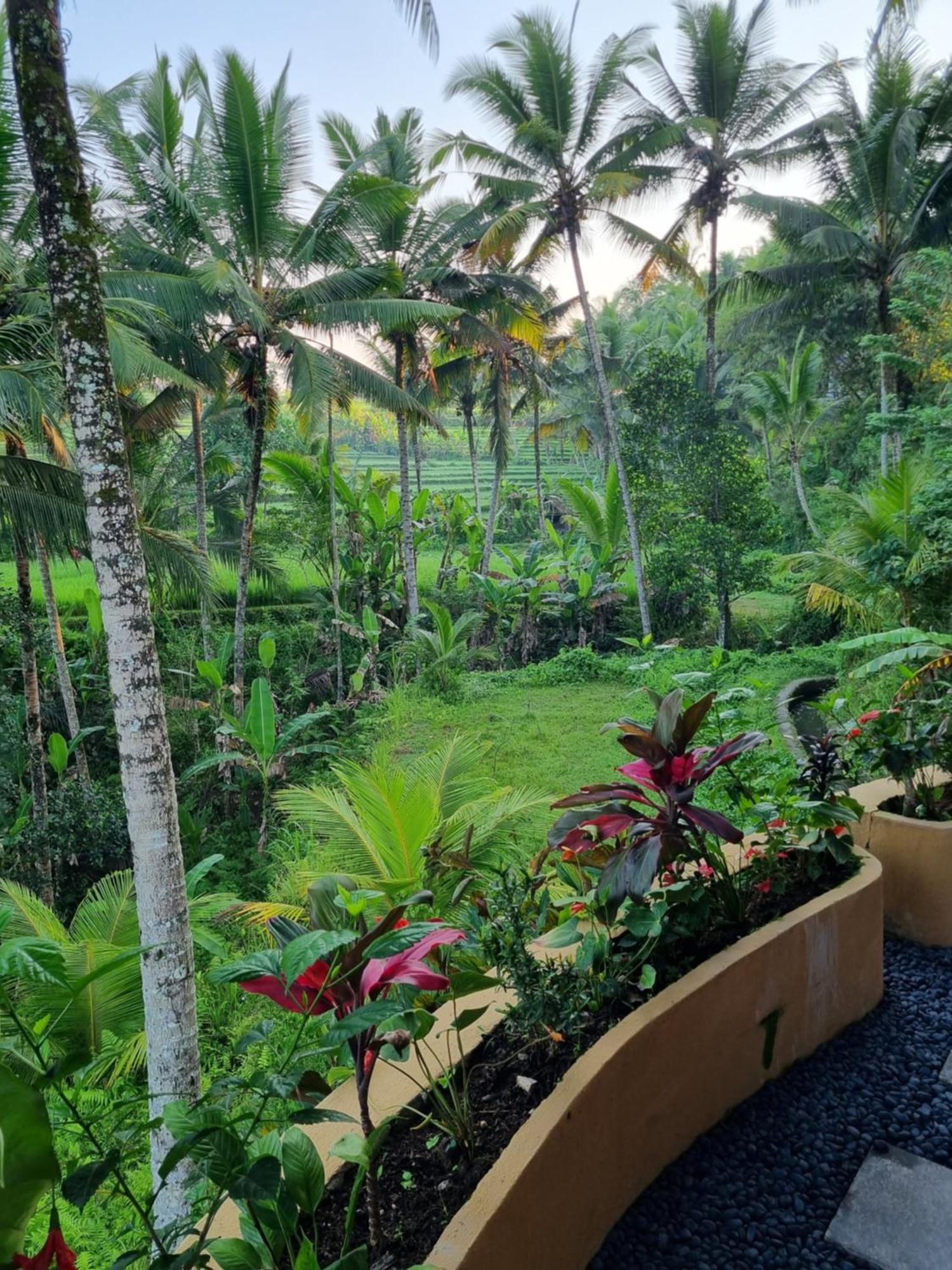 ปูรี ซบาหลี รีสอร์ต อูบุด Hotel ภายนอก รูปภาพ