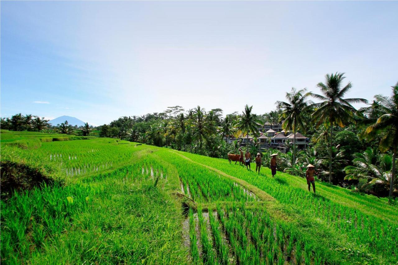 ปูรี ซบาหลี รีสอร์ต อูบุด Hotel ภายนอก รูปภาพ